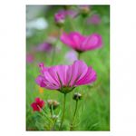 nikon-af-s-dx-nikkor-18-300mm-f-3-5-6-3g-ed-vr-33432-4