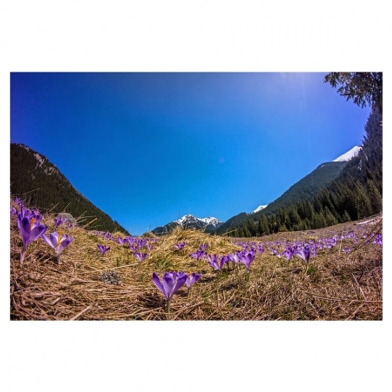 samyang-8mm-f-3-5-umc-fish-eye-cs-ii-pentax-34511-3