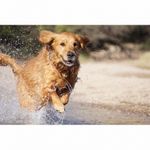 sony-alpha-a6000-negru-sel16-50mm-f3-5-5-6-wi-fi-nfc-rs125011119-41-67102-14
