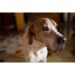 tamron-sp-35mm-f-1-8-di-vc-usd-montura-nikon-44783-19-327