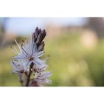 tamron-sp-35mm-f-1-8-di-vc-usd-montura-nikon-44783-22-559