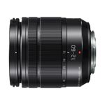 -panasonic-lumix-g-vario-12-60mm-f-3-5-5-6-asph--power-o-i-s--49832-2-242