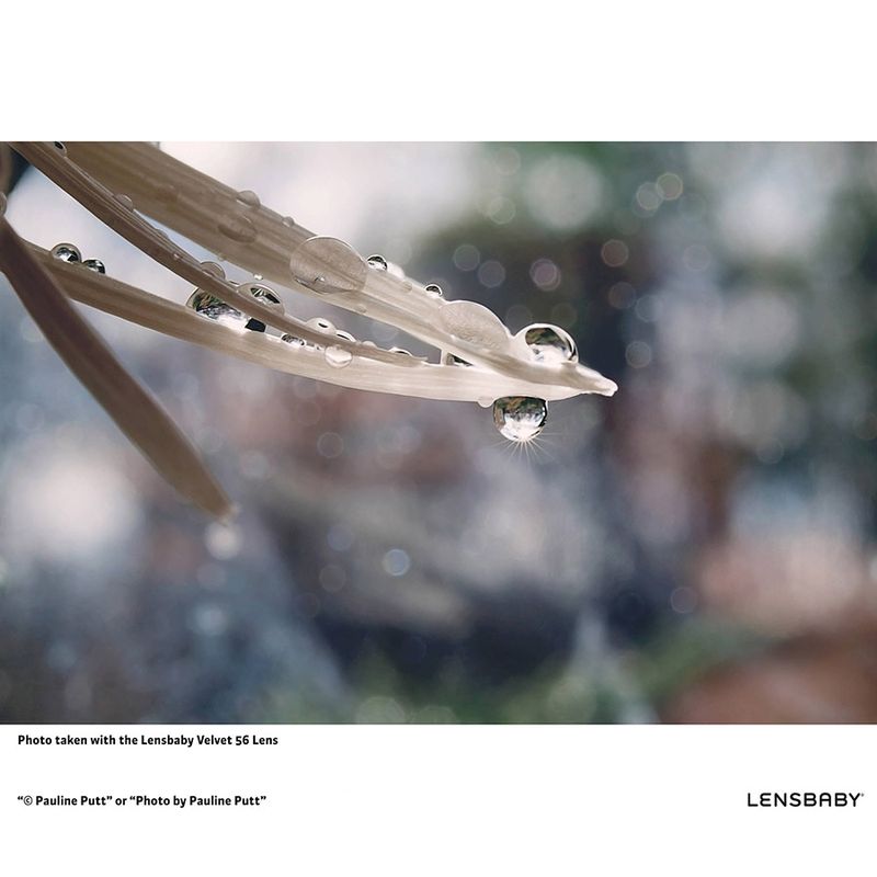 lensbaby-velvet-56-f-1-6-micro-4-3-51433-1-553
