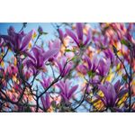 lensbaby-twist-60-optic-51496-402-752