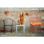 lensbaby-edge-50-optic-bloc-optic-50mm-f-2-8-pentru-sistemul-lensbaby-51497-5-411