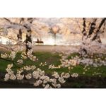 sony-50mm-f-1-4-carl-zeiss-planar-t--za-fe-53197-605-515