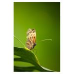 tamron-af-s-70-300mm-f-4-5-6-di-ld-macro-nikon-6476-8