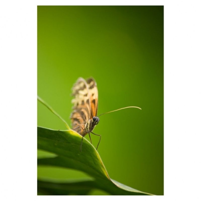 tamron-af-s-70-300mm-f-4-5-6-di-ld-macro-nikon-6476-8
