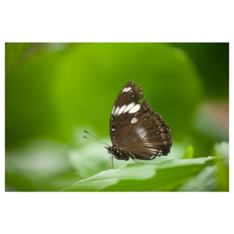 tamron-af-s-70-300mm-f-4-5-6-di-ld-macro-nikon-6476-11