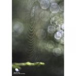 lensbaby-composer-pro-ii-system-kit-nikon-f-55317-6