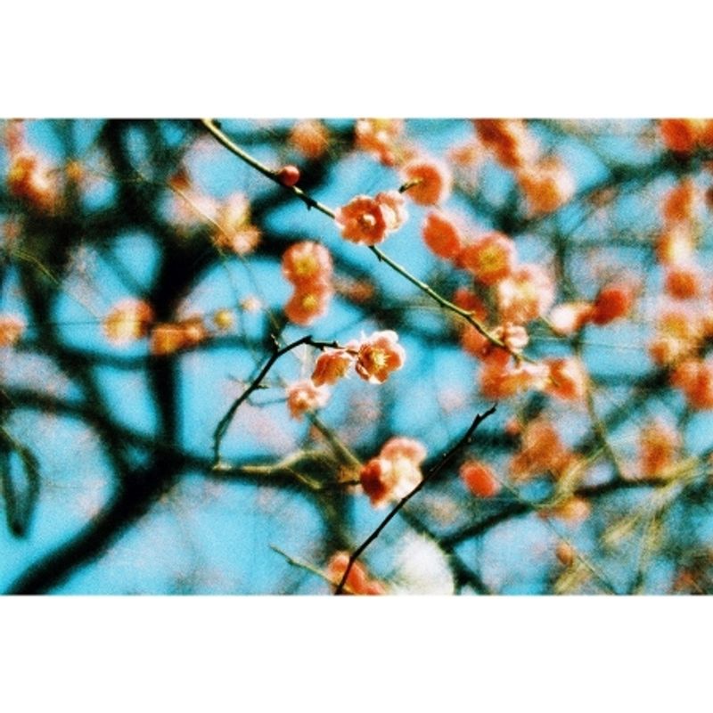 lomography-petzval-daguerreotype-achromat-64mm-f2-9-art-canon-ef--negru-57536-4