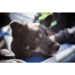 lensbaby-trio-28-montura-sony-e--compatibil-ff--57635-4-83