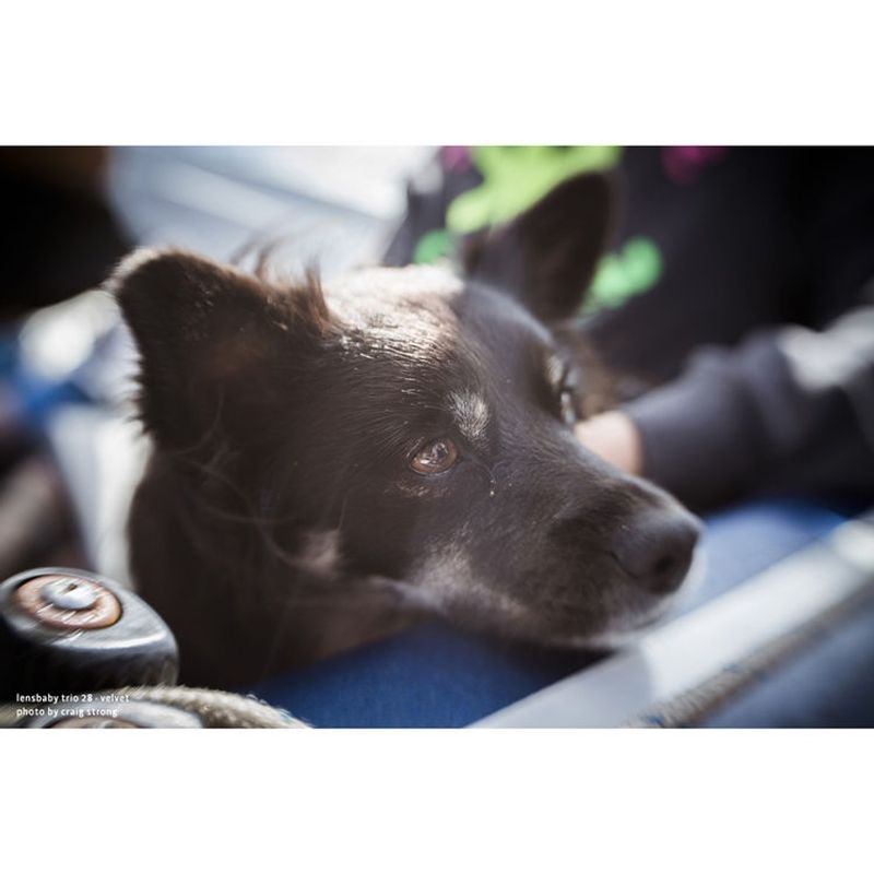 lensbaby-trio-28-montura-sony-e--compatibil-ff--57635-4-83