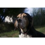 lensbaby-trio-28-montura-sony-e--compatibil-ff--57635-7-980
