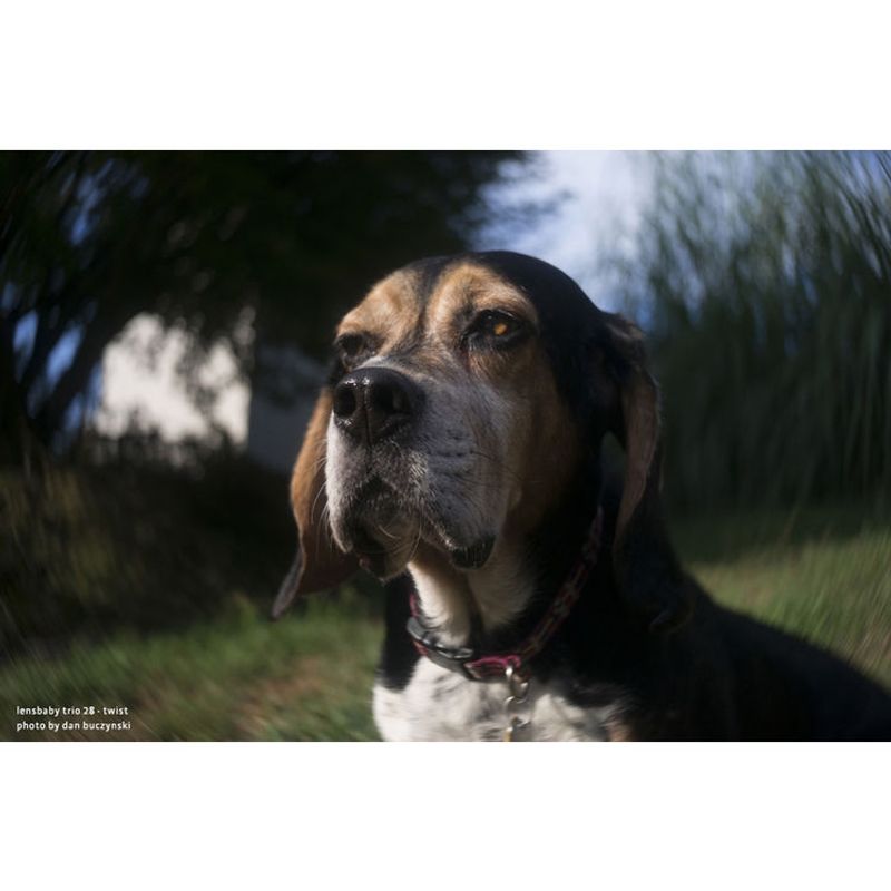 lensbaby-trio-28-montura-sony-e--compatibil-ff--57635-7-980