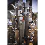lensbaby-trio-28-montura-sony-e--compatibil-ff--57635-8-98