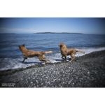 lensbaby-trio-28-montura-sony-e--compatibil-ff--57635-9-553