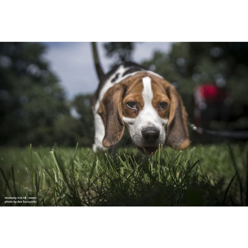 lensbaby-trio-28-montura-sony-e--compatibil-ff--57635-10-377