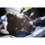 lensbaby-trio-28-montura-fuji-x-57638-4