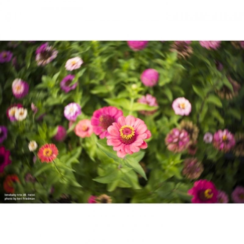 lensbaby-trio-28-montura-fuji-x-57638-11