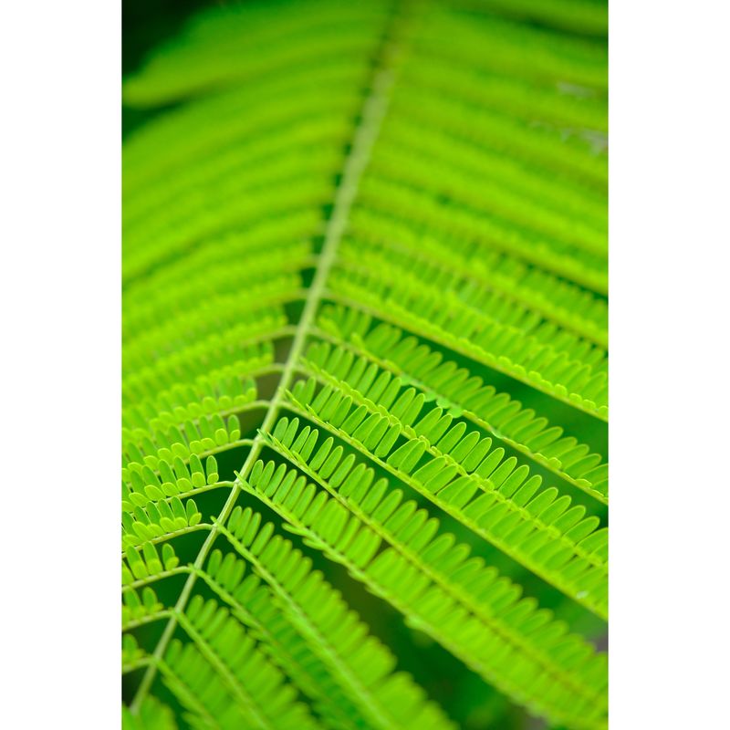 fujifilm-xf-50mm-f-2-r-wr-negru-58744-70-451