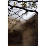 nikon-af-s-nikkor-28mm-f1-4e-ed-62436-831-174