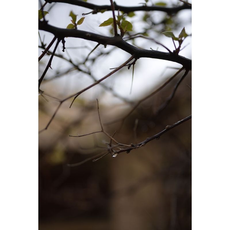 nikon-af-s-nikkor-28mm-f1-4e-ed-62436-831-174