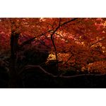 fujifilm-finepix-x100f-argintiu-58741-306-80