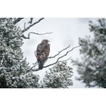 nikon-af-s-nikkor-180-400mm-f-4e-tc1-4x-fl-ed-vr-67475-510-975