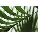canon-eos-1300d-ef-s-18-55mm-is-ii-f-3-5-5-6--50216-20-430