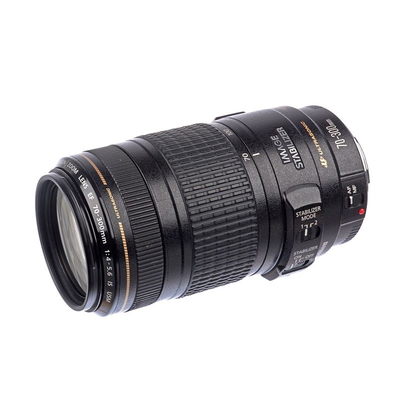 Canon EF 70-300mm f/4-5.6 IS USM - SH6950 - F64.ro