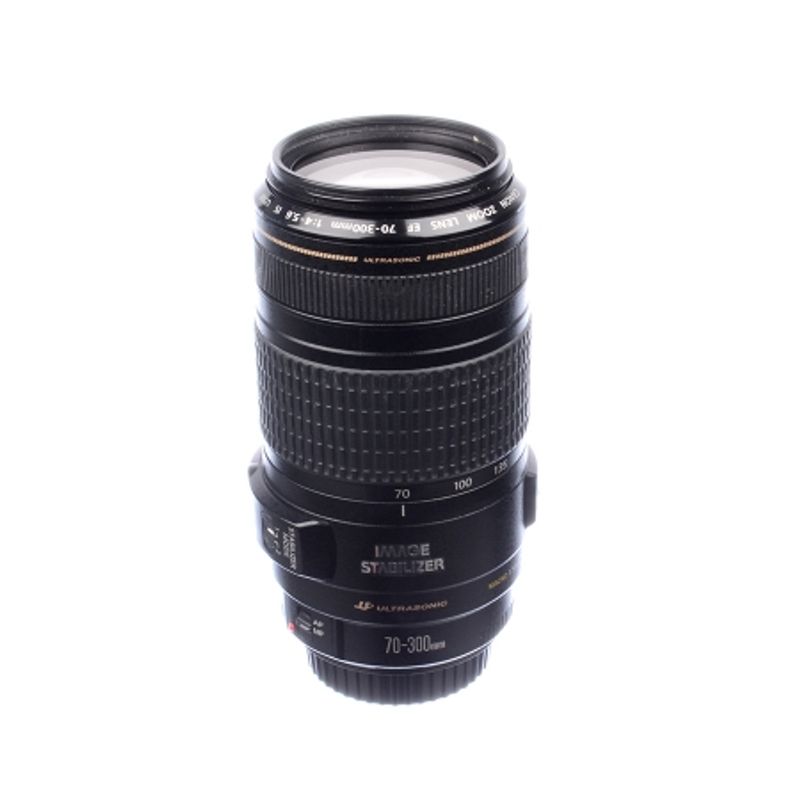 sh-canon-ef-70-300mm-f-4-5-6-is-usm-sh-125035679-62101-180