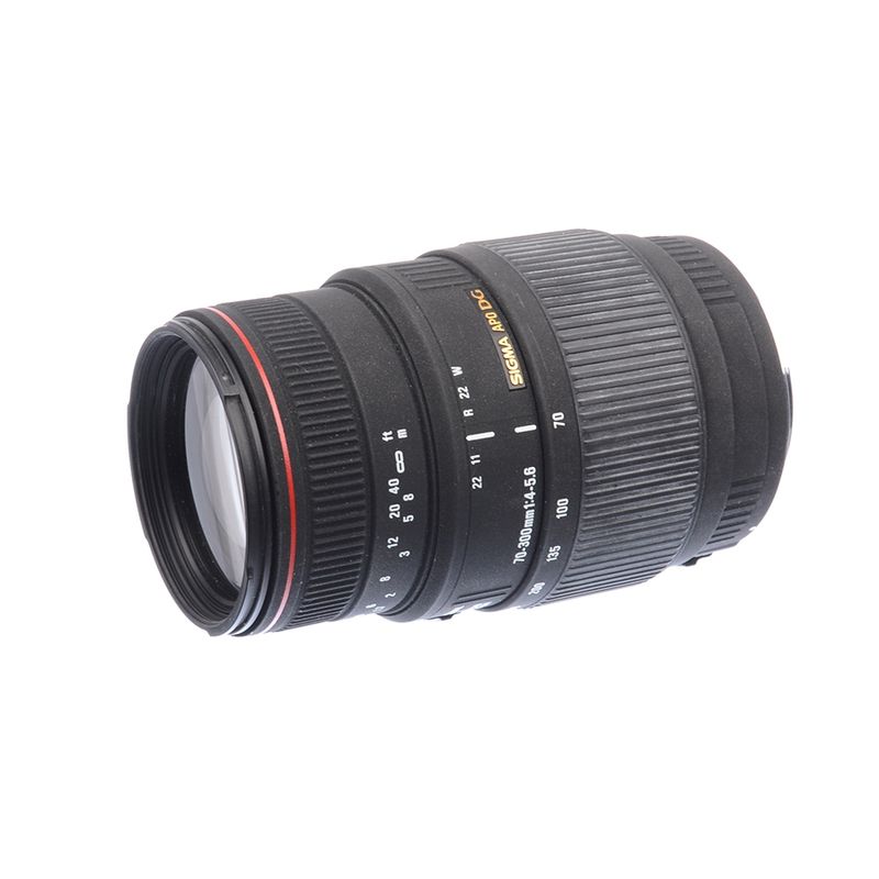 sh-sigma-70-300mm-f-4-5-6-dg-apo-macro-canon-sh125036195-62675-1-345