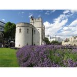turnul-londrei-london-23785