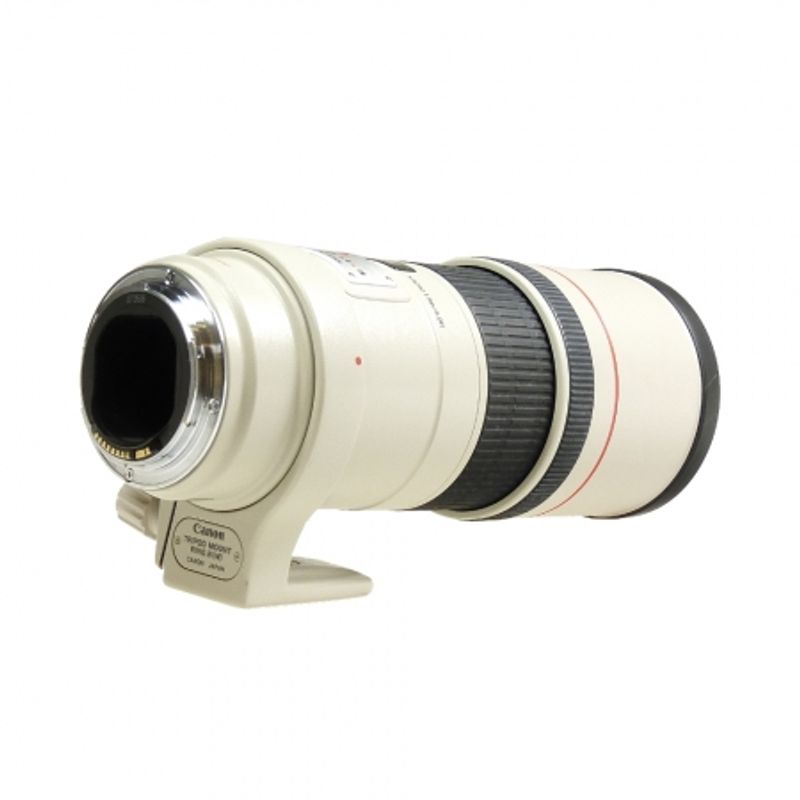 canon-ef-300mm-f-4-l-is-sh5633-1-41055-2-345