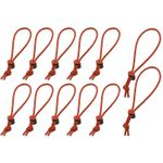Think-Tank-Red-Whips-V2.0