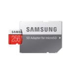 SamsungEvoPlusCarddeMemorieMicroSDHC256GB