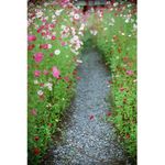 Untitled-3
