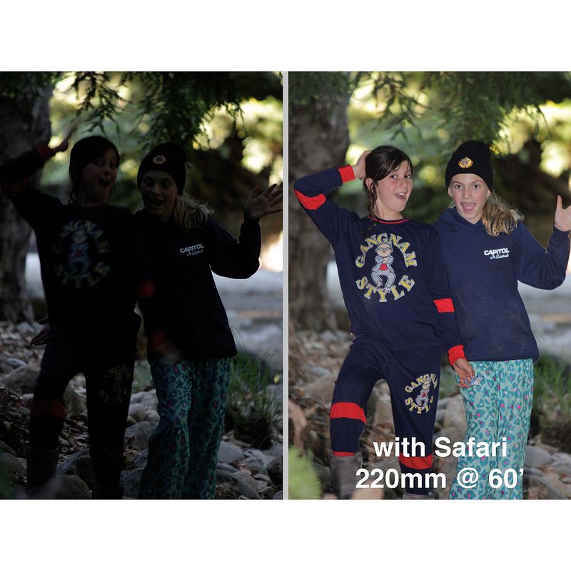 Safari-Before-After-Deep-Shade