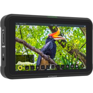 Atomos Shinobi Monitor Foto Video HDR 5" 4K HDMI