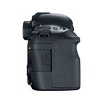 Canon-EOS-6D-Mark-II---24-105---10