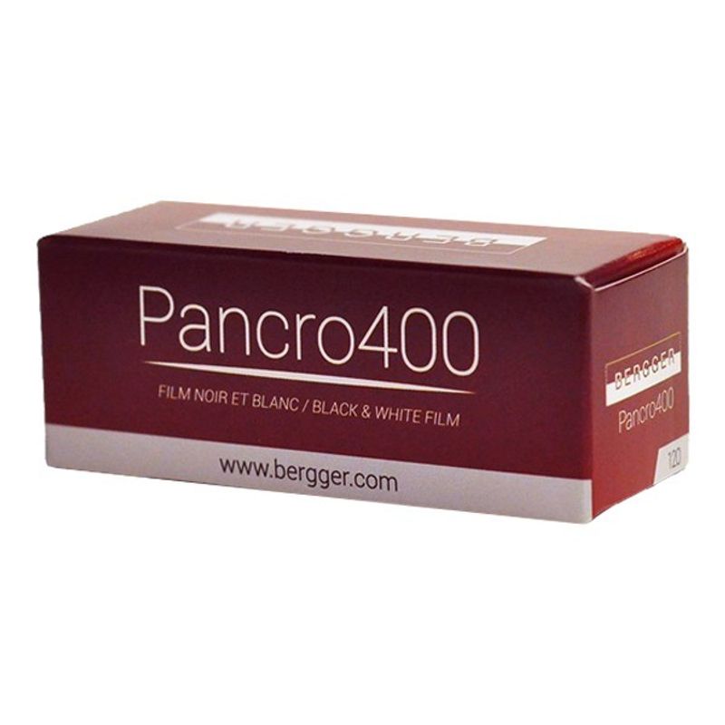 bergger-pancro-400-120