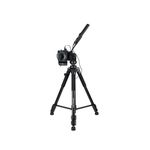 JJC-TP-F2--6-