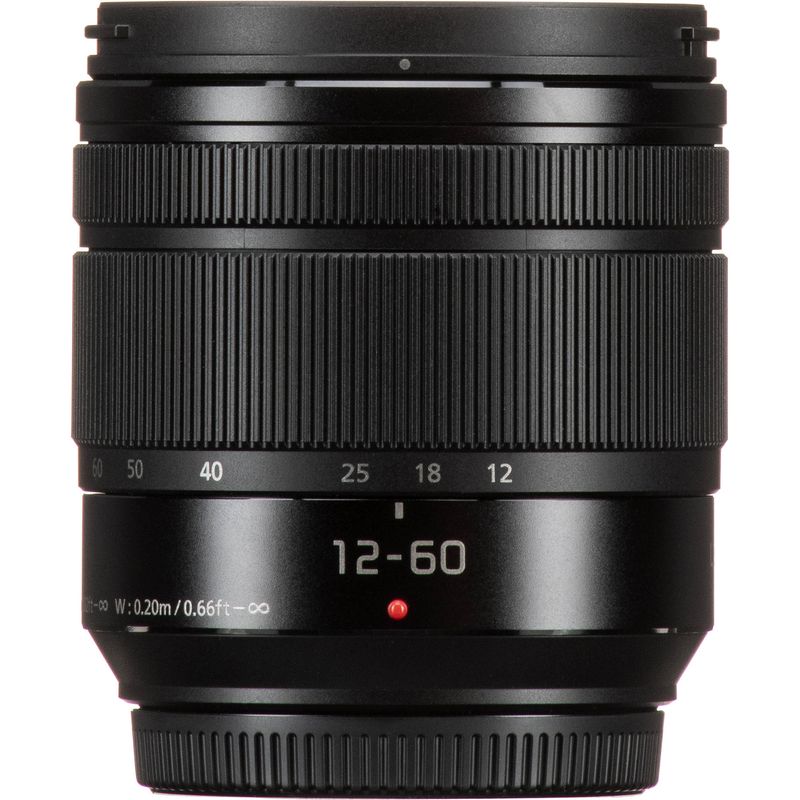 Panasonic-Lumix-G-Vario-12-60mm--3-