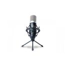 Marantz MPM1000 Microfon Condenser XLR