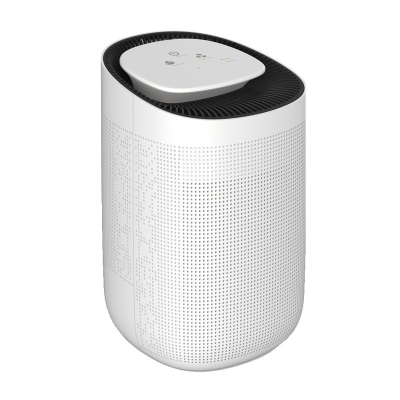 Triton-2-in-1--Purificator-si-Dezumidificator-pana-la-20mp-cu-Filtru-HEPA-