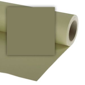 Colorama Fundal carton 2.72 x 11m Leaf