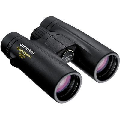 Olympus EXWP I 10x42 Binoclu