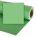 Colorama Fundal carton 2.72 x 11m Summer Green