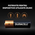 Baterii-alcaline-Duracell-AA-2